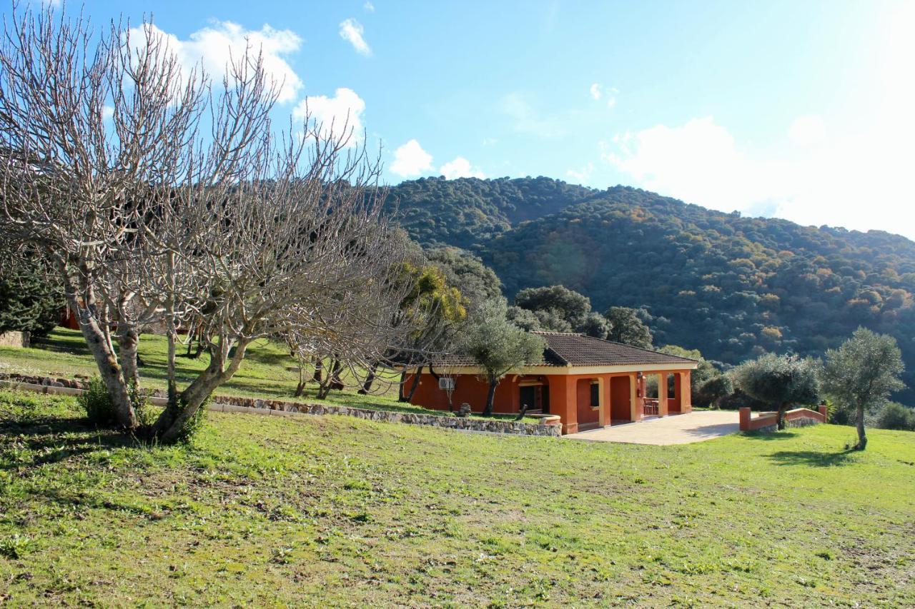 Apartament Cedro Alto