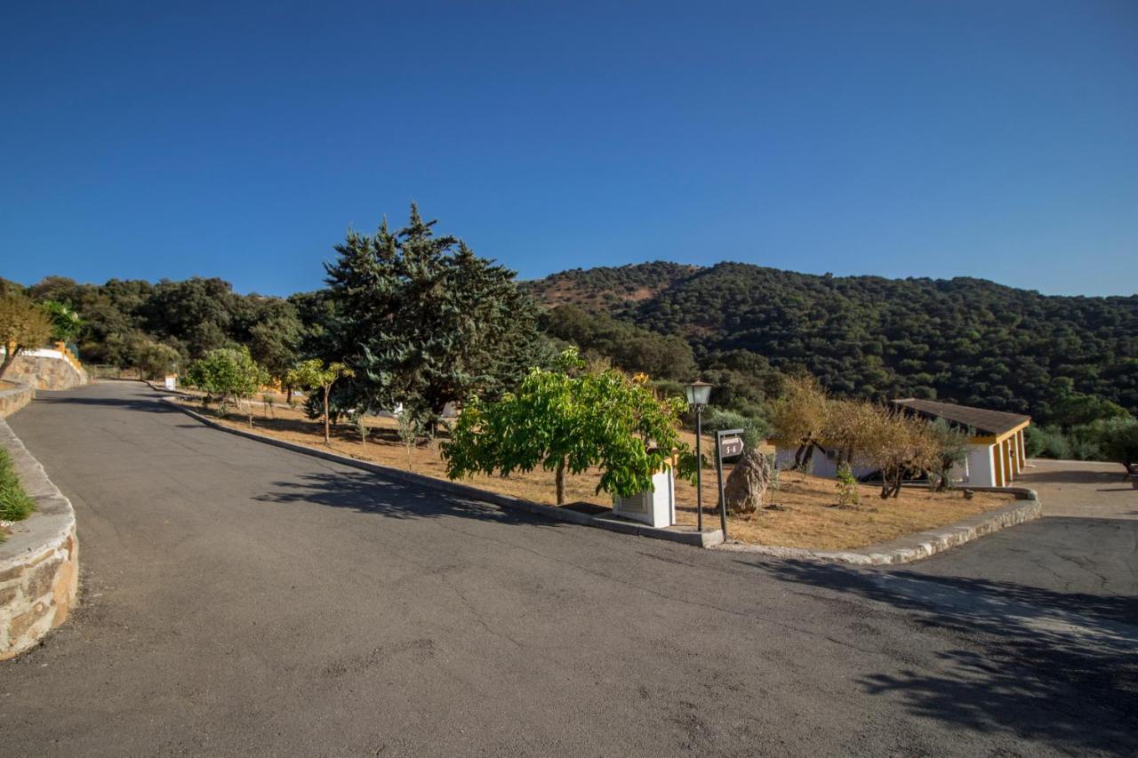 Apartament Cedro Alto *