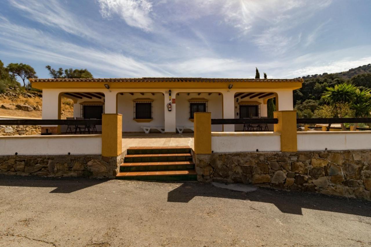 Apartament Cedro Alto