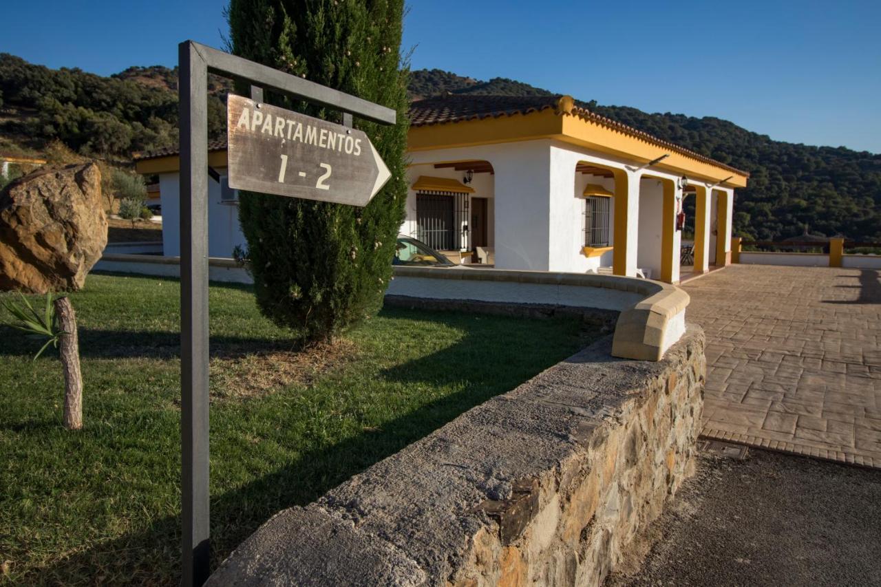Cedro Alto