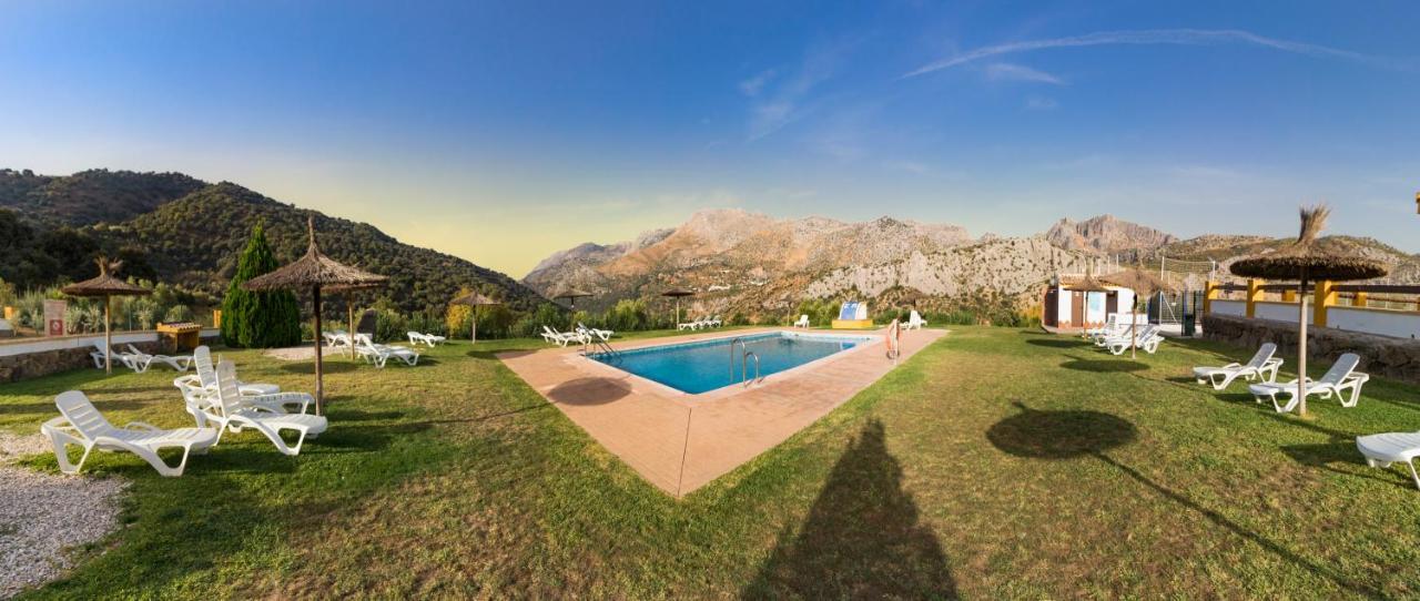 Apartament Cedro Alto *
