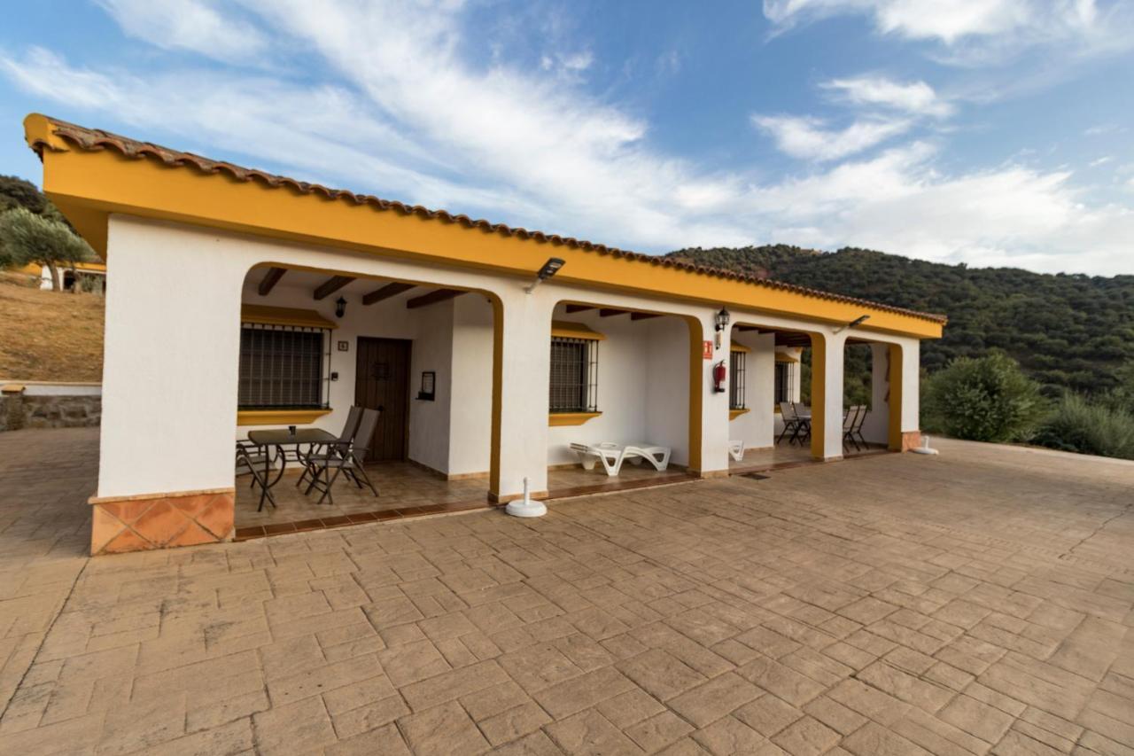 Apartament Cedro Alto