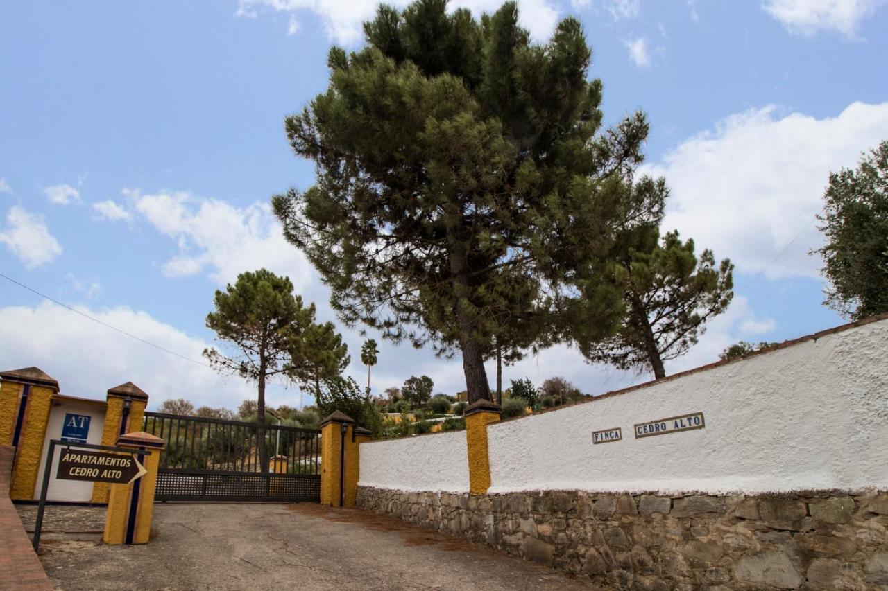 Apartament Cedro Alto