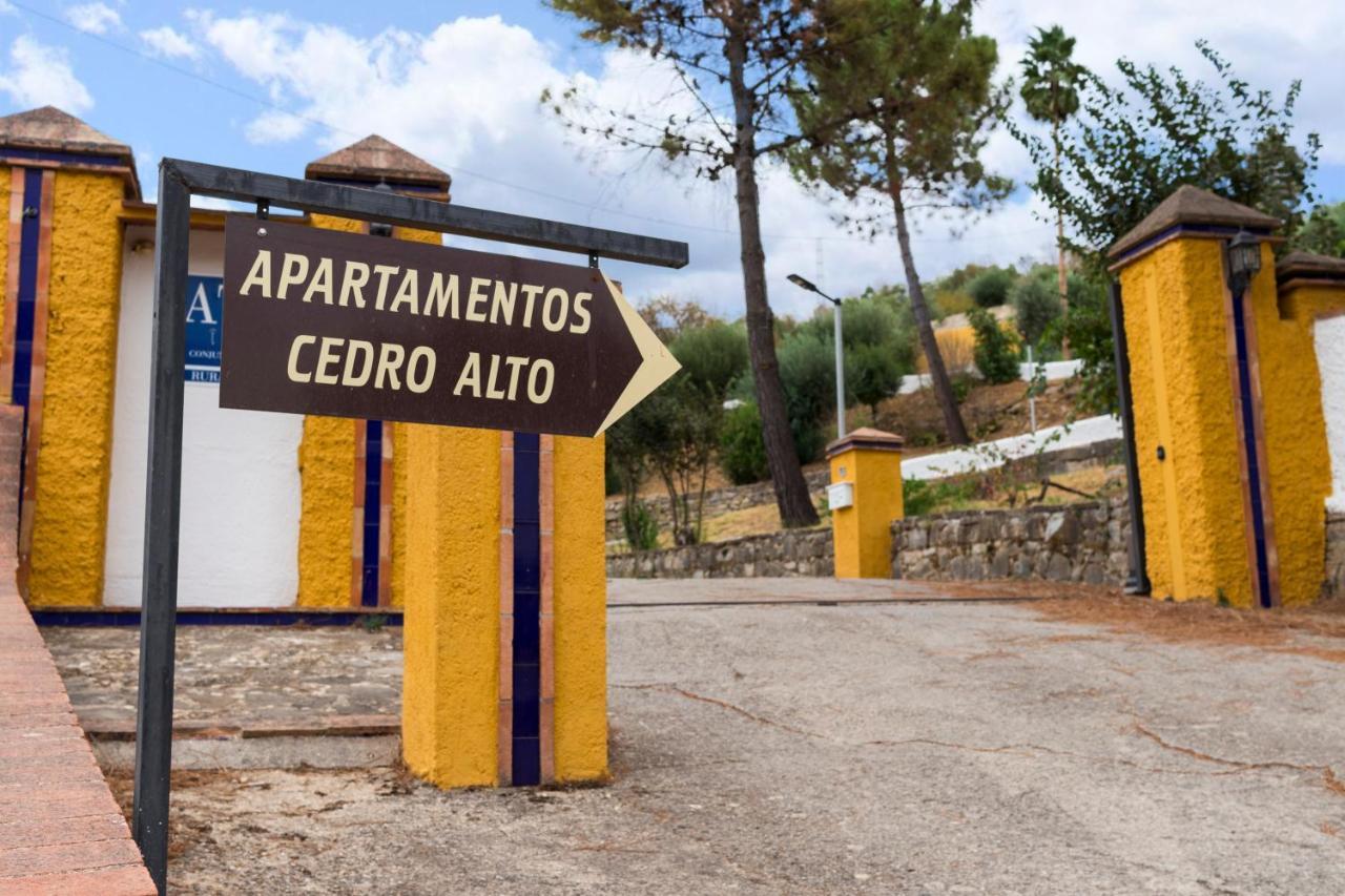 Cedro Alto *